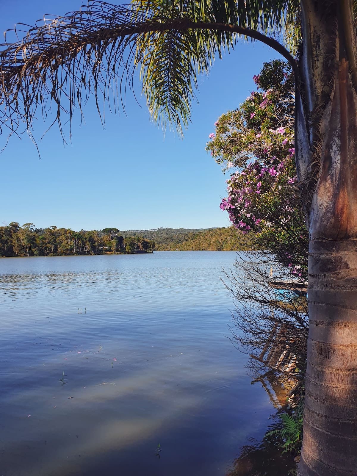 Bacon ipsum dolor amet brisket meatloaf ground round bresaola tri-tip sirloin short ribs ball tip biltong kevin short loin burgdoggen frankfurter pork belly.