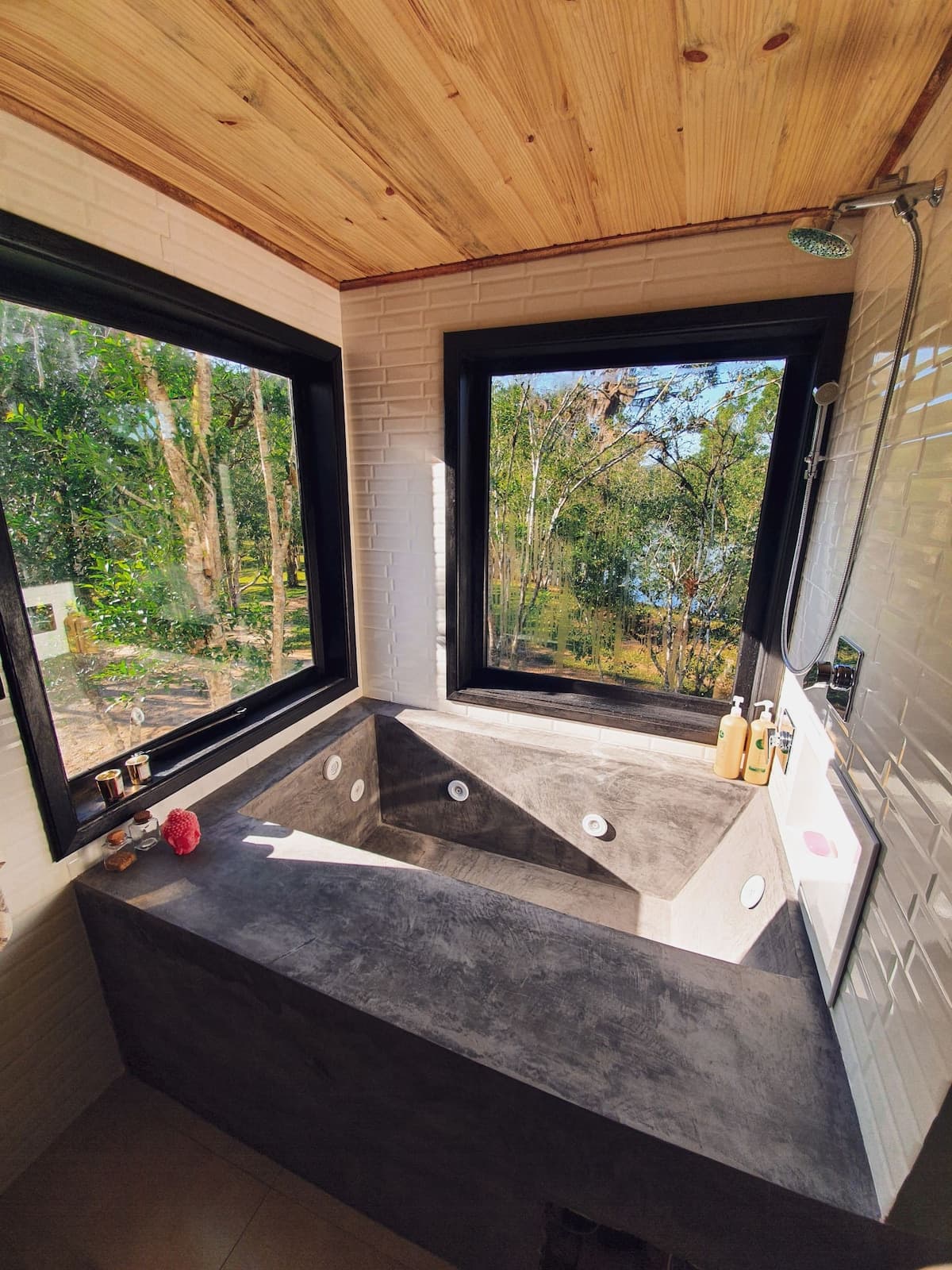 Bacon ipsum dolor amet ribeye tenderloin capicola sirloin porchetta buffalo rump.