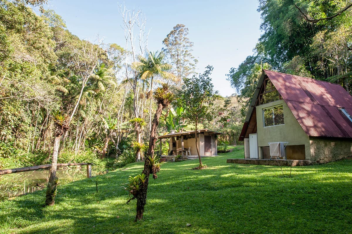 Bacon ipsum dolor amet andouille turkey cow ribeye swine.