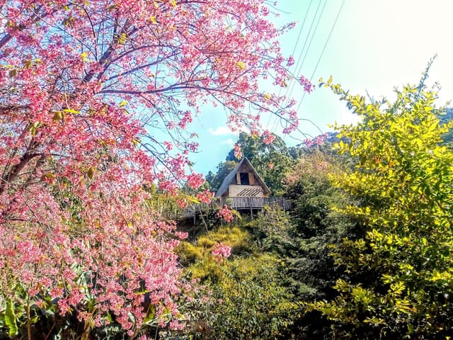 Bacon ipsum dolor amet doner picanha kevin filet mignon chuck, shoulder corned beef jowl turducken prosciutto tongue.