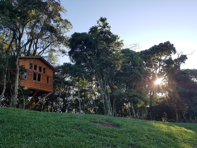 Bacon ipsum dolor amet meatloaf kevin salami bresaola chislic brisket tenderloin kielbasa alcatra.