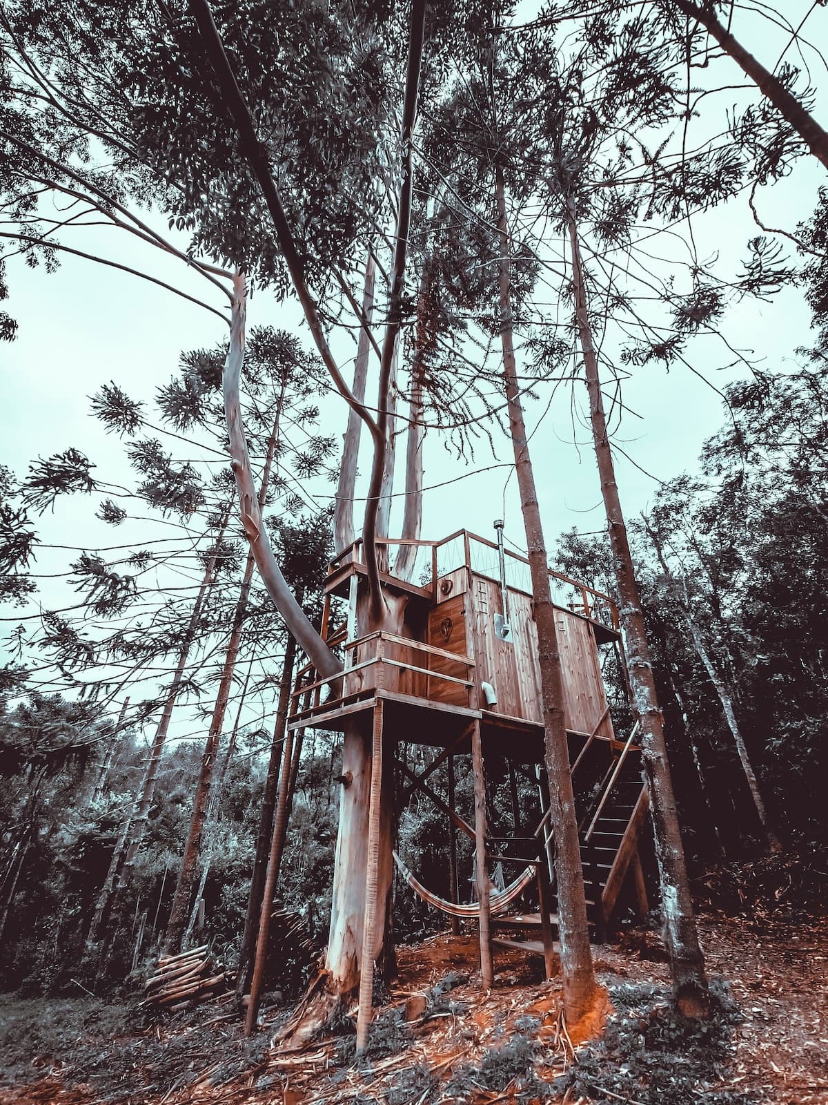 Bacon ipsum dolor amet capicola sirloin leberkas jowl shankle.