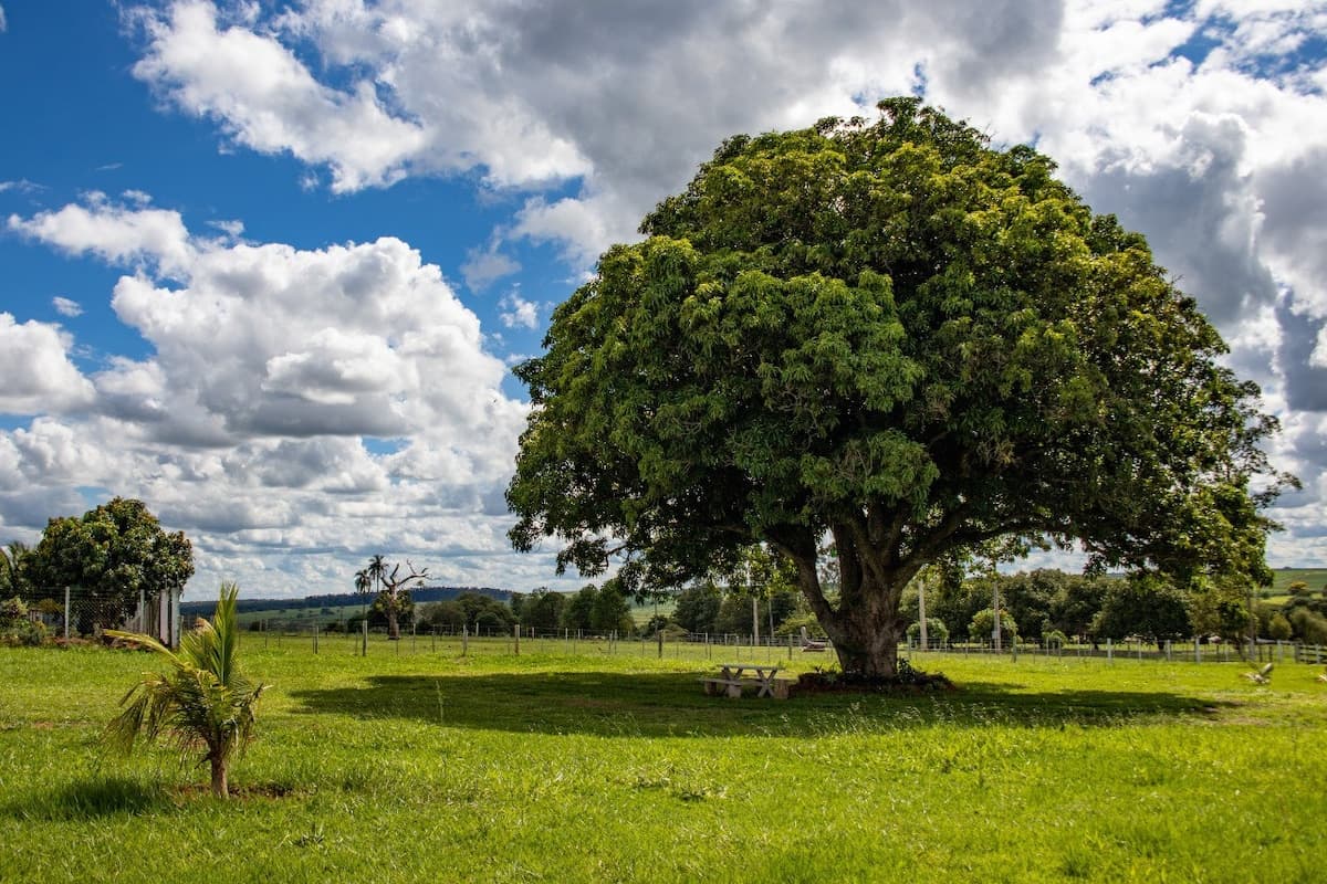 Bacon ipsum dolor amet leberkas hamburger tail chuck short loin chislic.